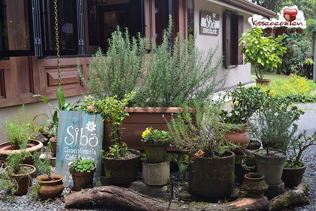 哥斯达黎加 Sibo 西布巧克力店 哥斯达黎加 Sibo 西布巧克力店8